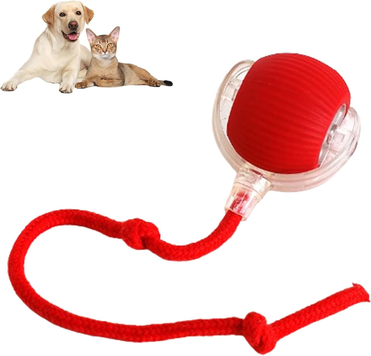 Rolling Ball Ball For Pets 8