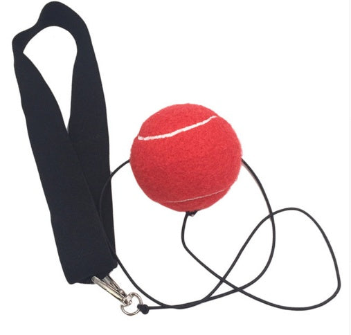 Boxing Reflex Ball Fight 1