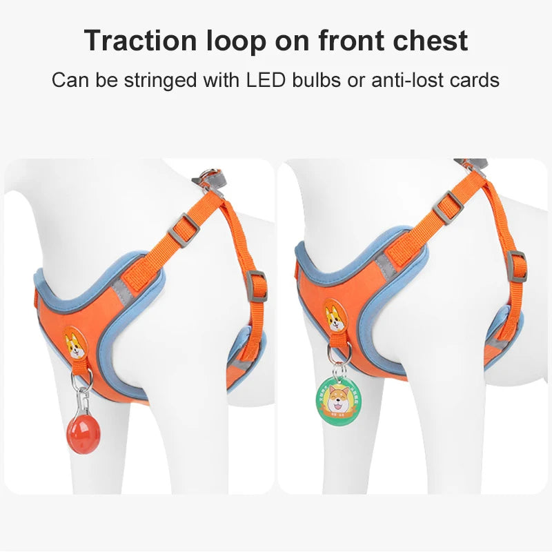 New Dog Leash And Harness 6