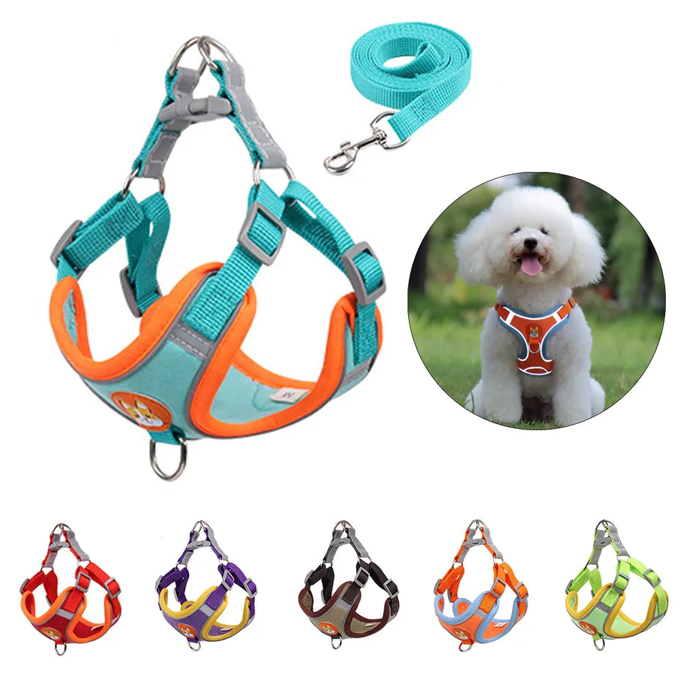 New Dog Leash And Harness 3