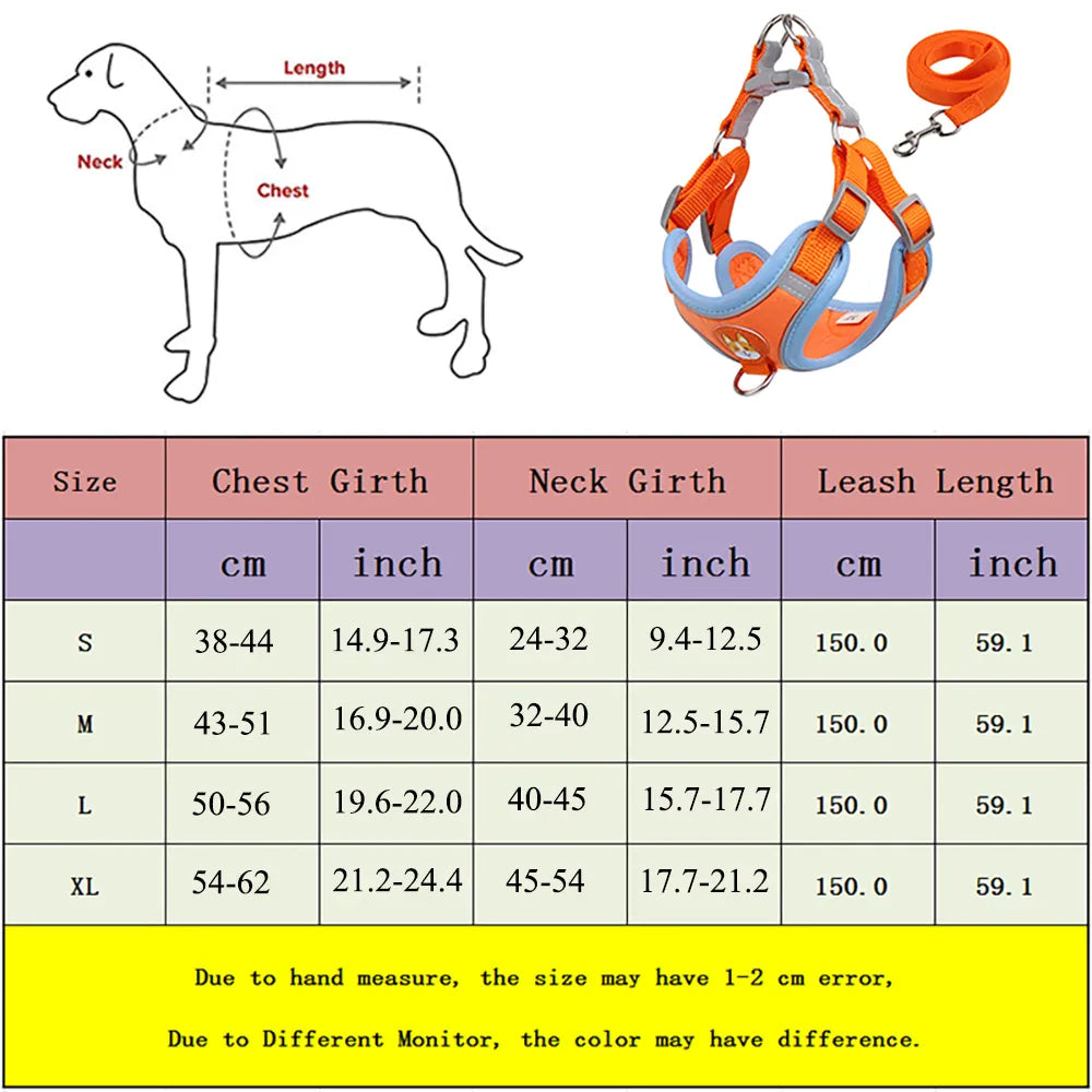 New Dog Leash And Harness 8