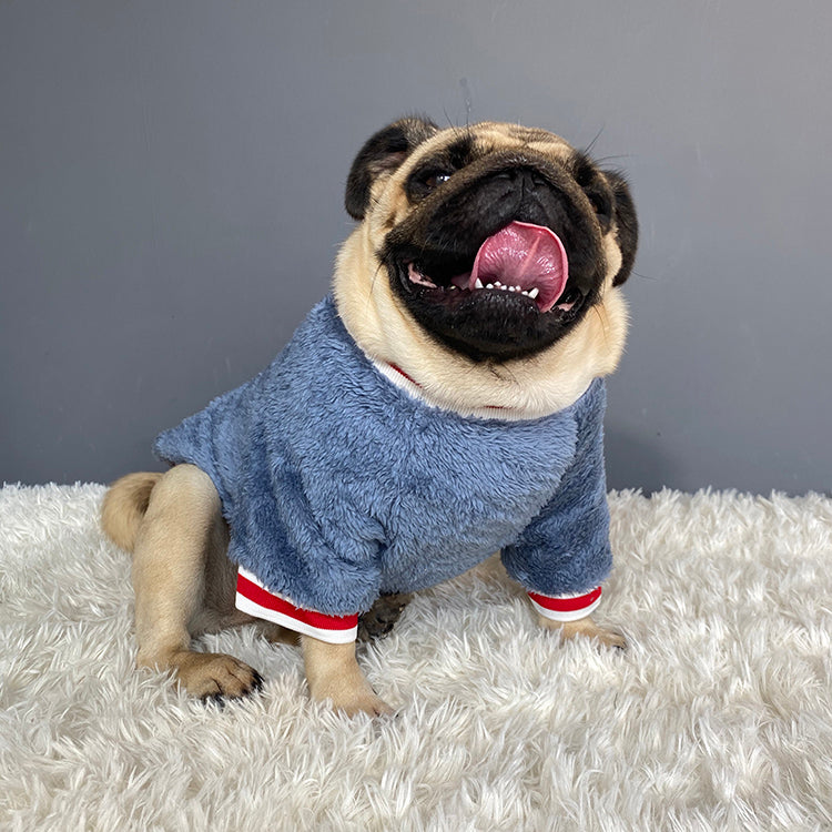 cotton pet sweater 