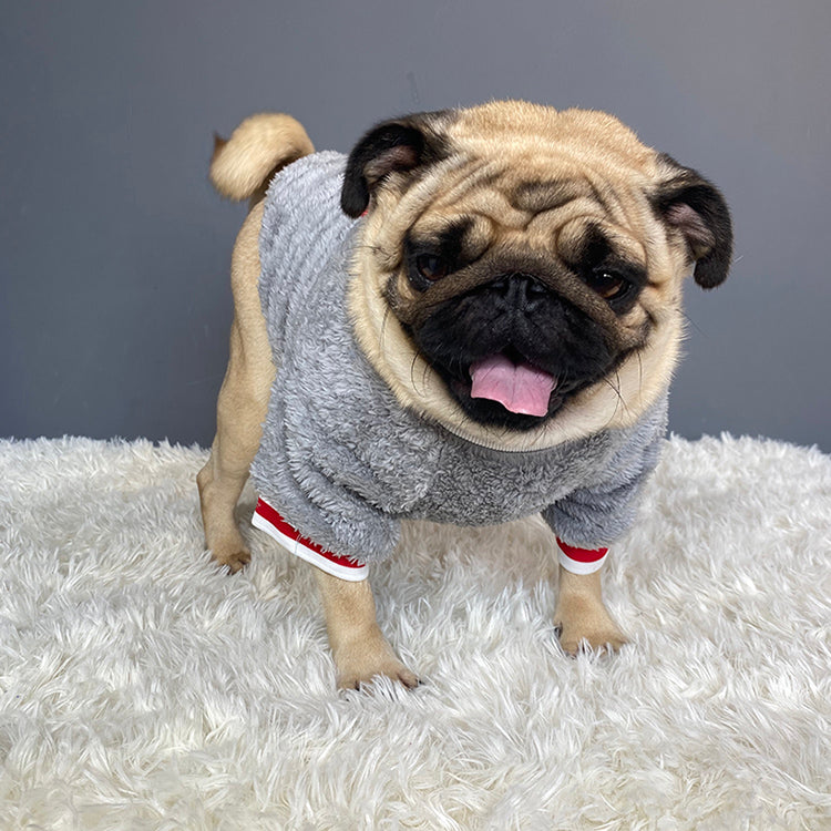 cotton pet sweater 2