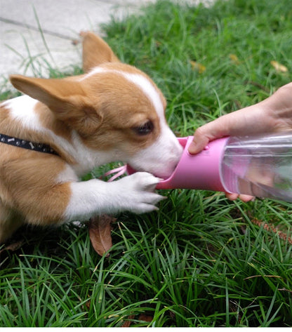Pet Portable Water Bottle 1