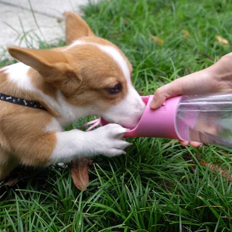 Pet Portable Water Bottle 