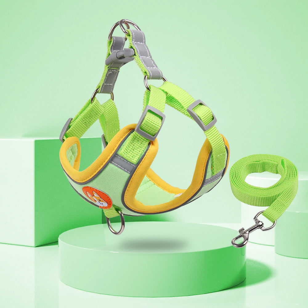 New Dog Leash And Harness 11