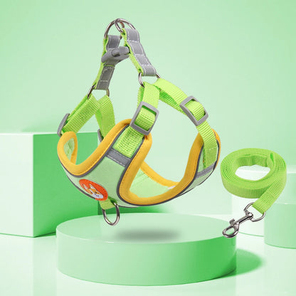 New Dog Leash And Harness 11