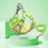 New Dog Leash And Harness 11