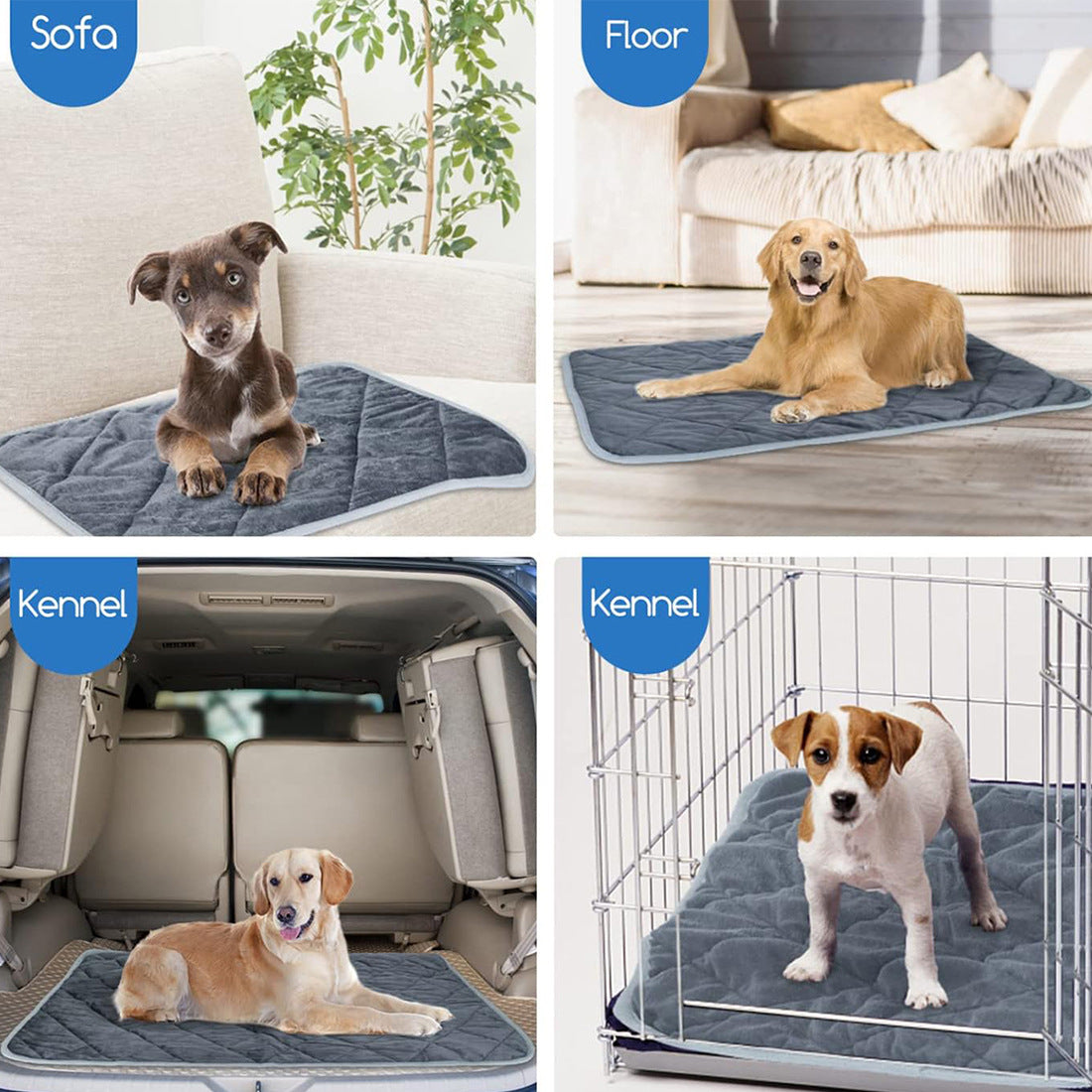 Fashion Personalized Pet Warm II