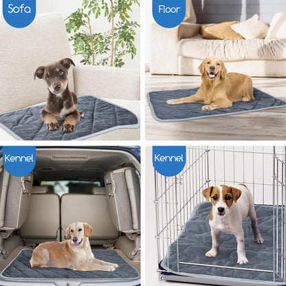 Fashion Personalized Pet Warm II