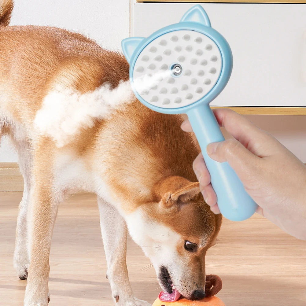 Hair Cleaning Brush With Mist Multifunctional II