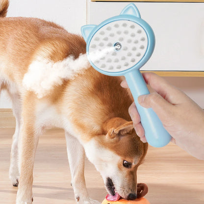 Hair Cleaning Brush With Mist Multifunctional II