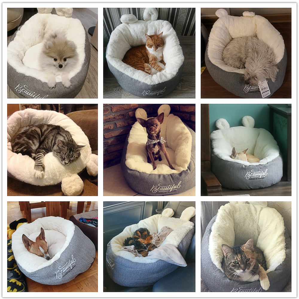 Pet Bed Warming 1