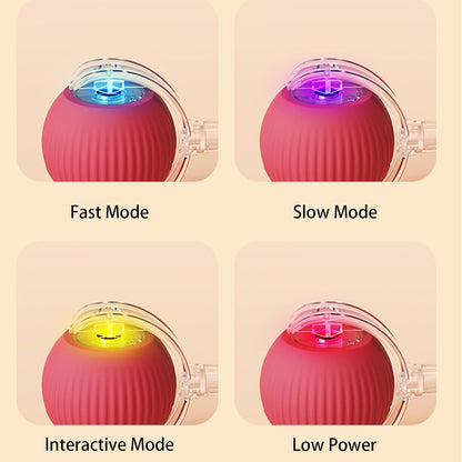 Rolling Ball Ball For Pets 1