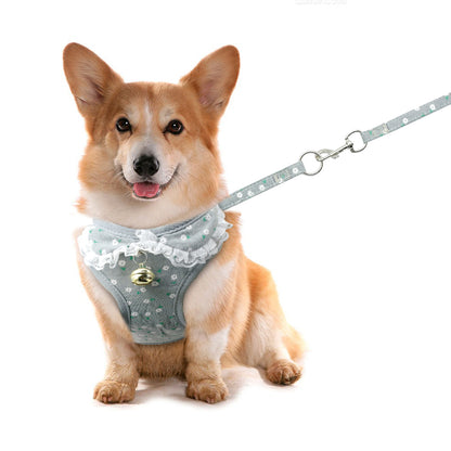 Chest harness 1