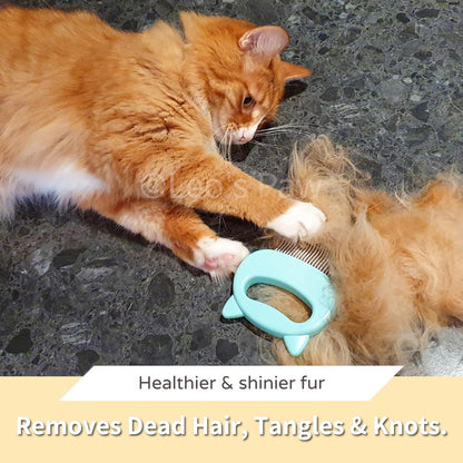 The Ultimate Pet Grooming 