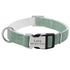 Custom Pet Collar With Engraved Tag 