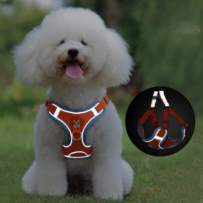 New Dog Leash And Harness 2