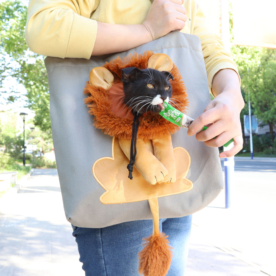 Soft Pet Carriers Lion Design 1