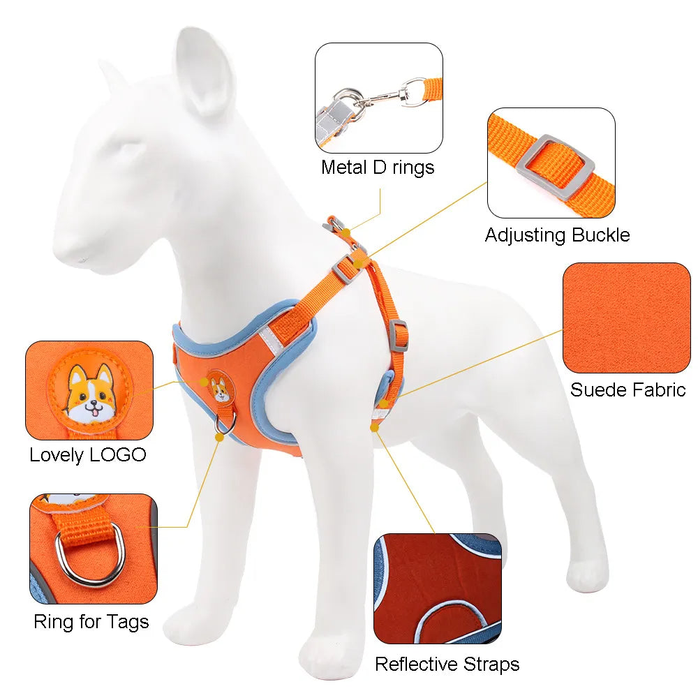 New Dog Leash And Harness 5
