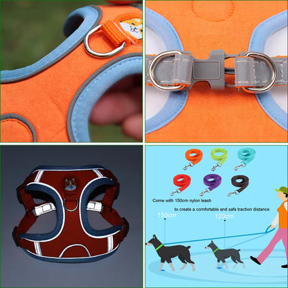 New Dog Leash And Harness 4