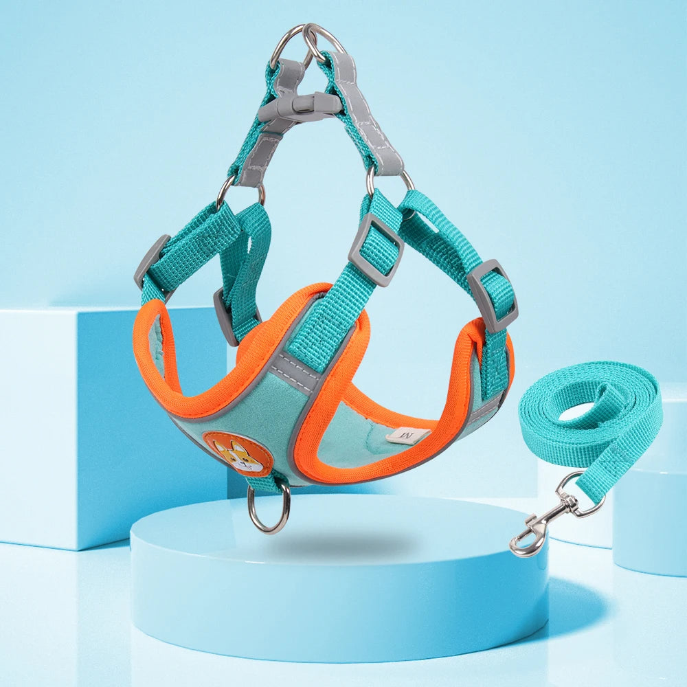 New Dog Leash And Harness 10