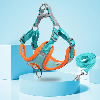 New Dog Leash And Harness 10