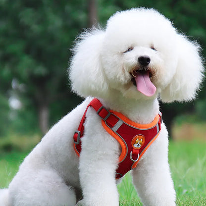 New Dog Leash And Harness 1