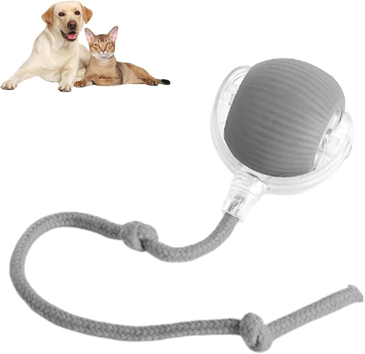 Rolling Ball Ball For Pets 6