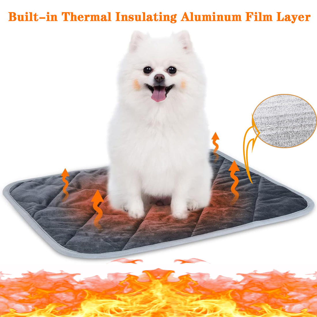 Fashion Personalized Pet Warm I