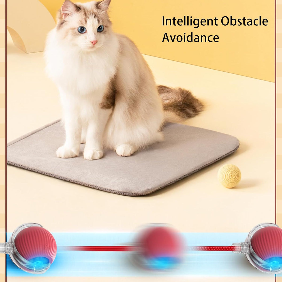 Rolling Ball Ball For Pets 3