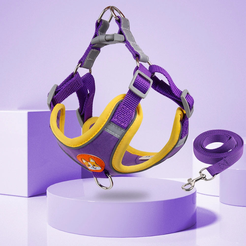 New Dog Leash And Harness 15