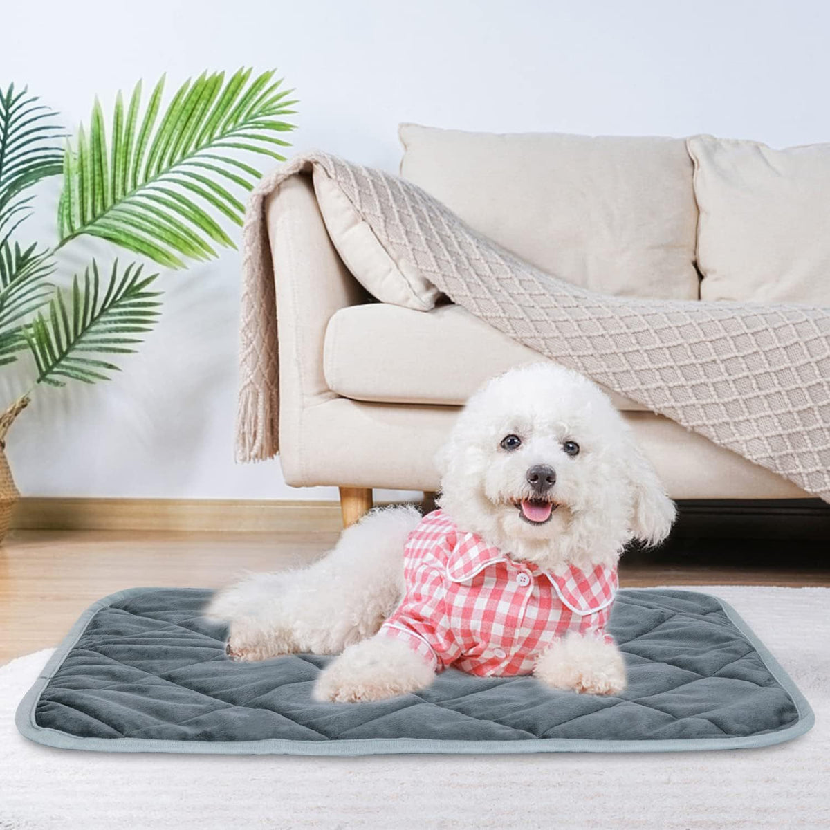 Fashion Personalized Pet Warm 