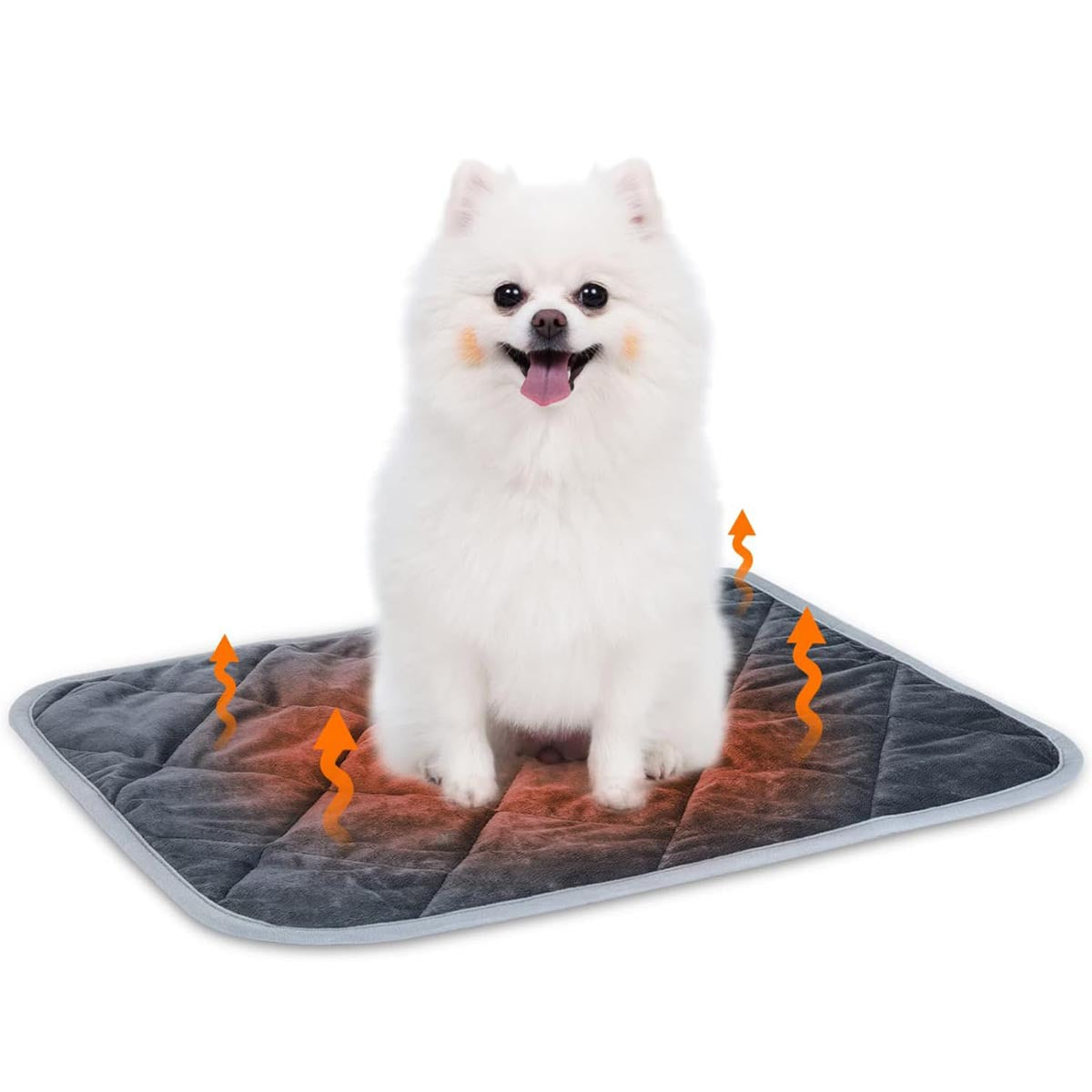 Fashion Personalized Pet Warm III