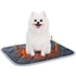 Fashion Personalized Pet Warm III