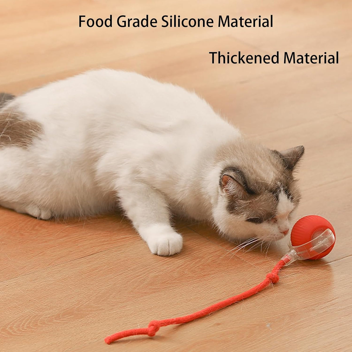 Rolling Ball Ball For Pets 2