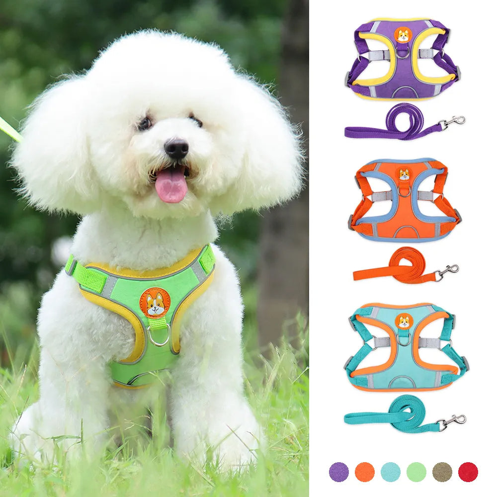 New Dog Leash And Harness 