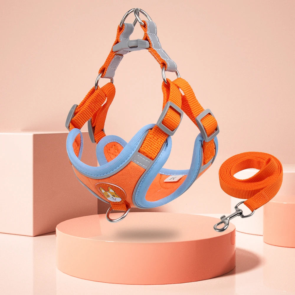 New Dog Leash And Harness 13