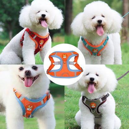 New Dog Leash And Harness 9