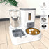 Pet Feeding And Drinking Station Bowl 4
