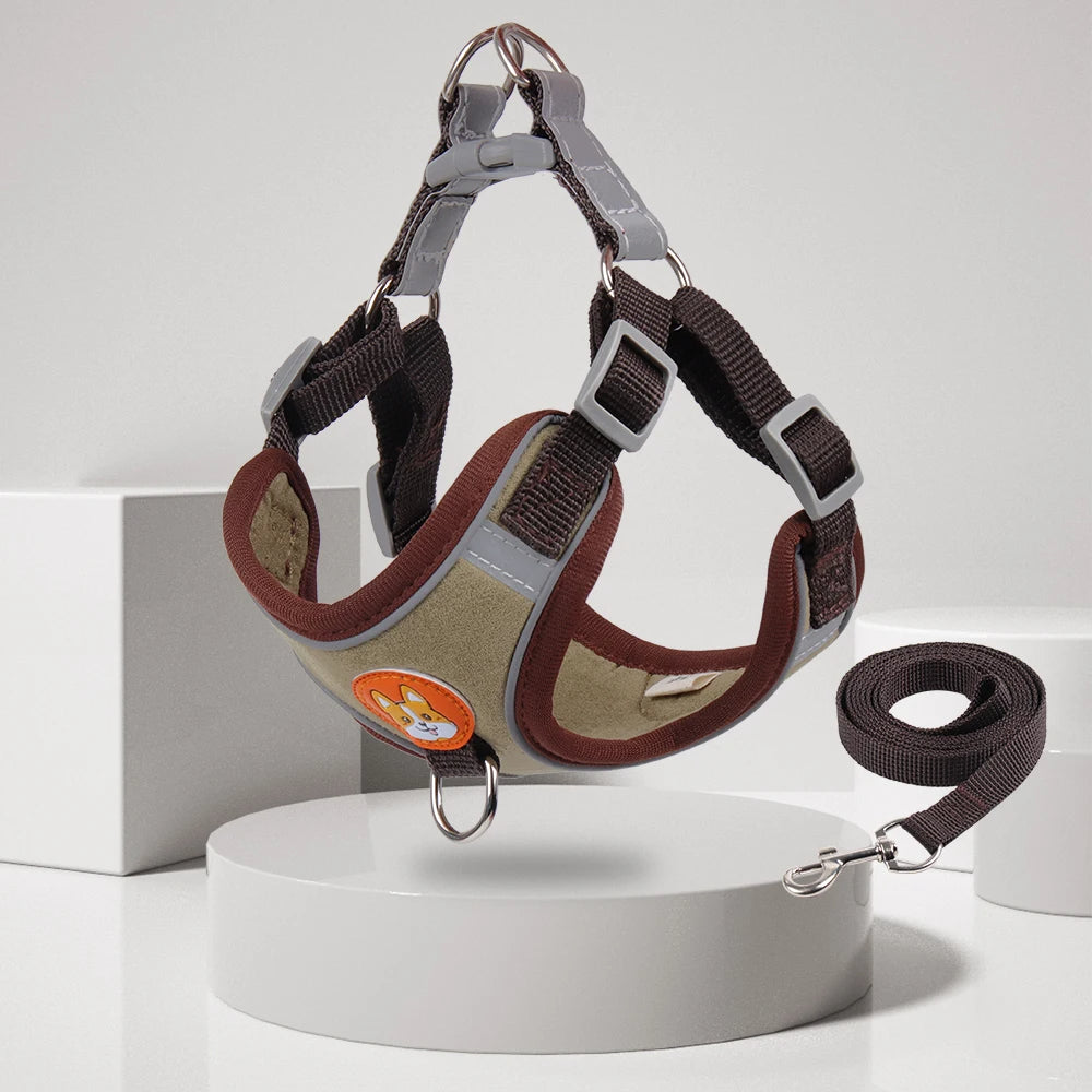 New Dog Leash And Harness 14