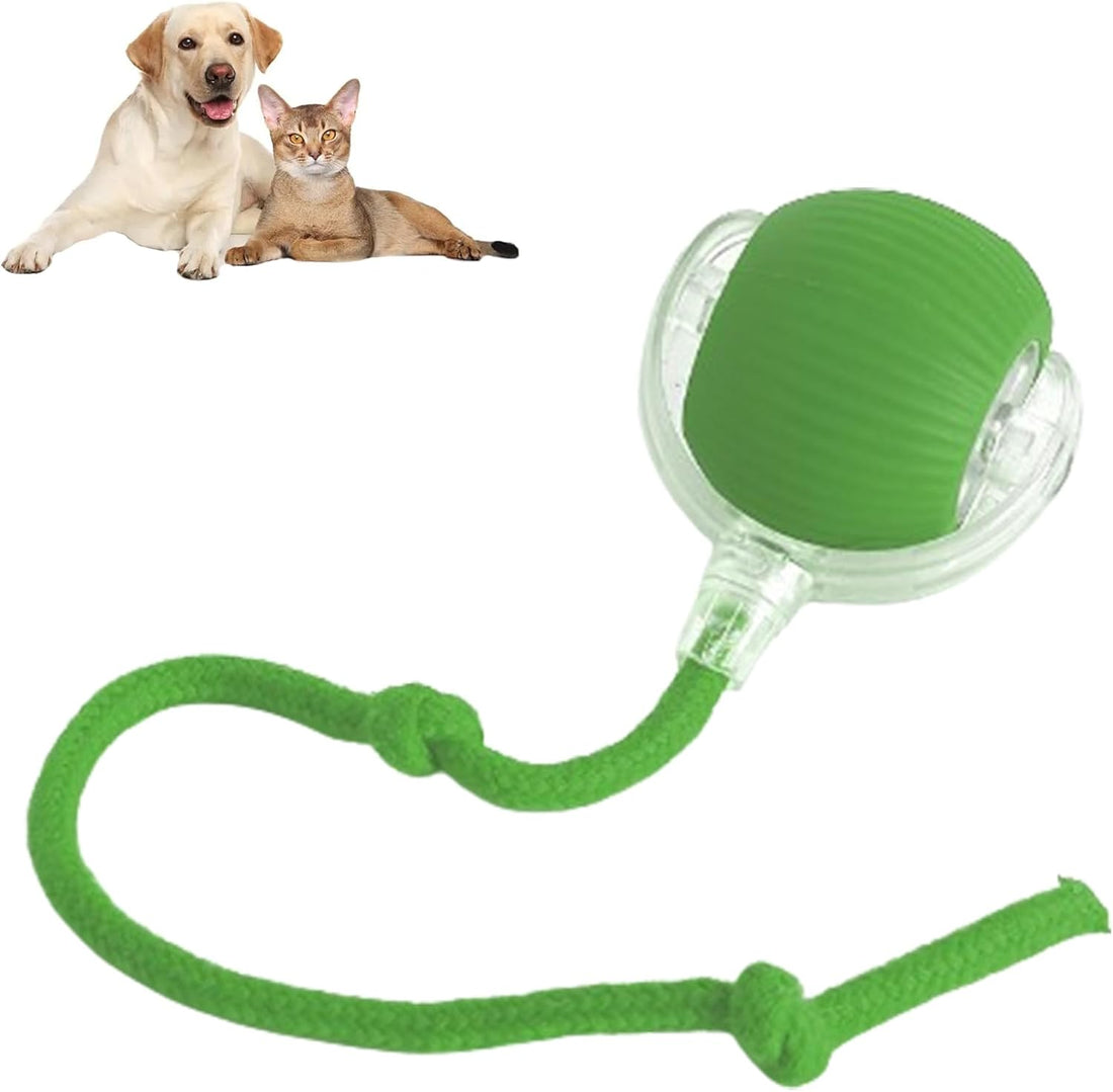 Rolling Ball Ball For Pets 7