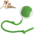 Rolling Ball Ball For Pets 7