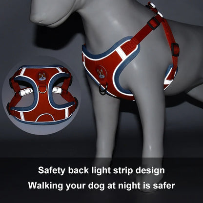 New Dog Leash And Harness 7